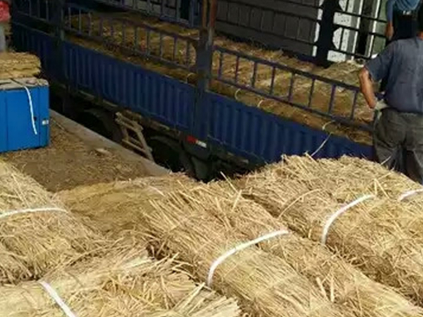 不會使用條形草支墊，建學(xué)草編制品來教你